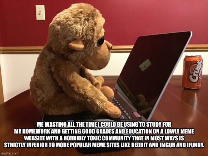 Y’all do know which site I’m talking about right? | ME WASTING ALL THE TIME I COULD BE USING TO STUDY FOR MY HOMEWORK AND GETTING GOOD GRADES AND EDUCATION ON A LOWLY MEME WEBSITE WITH A HORRIBLY TOXIC COMMUNITY THAT IN MOST WAYS IS STRICTLY INFERIOR TO MORE POPULAR MEME SITES LIKE REDDIT AND IMGUR AND IFUNNY. | image tagged in monkey on computer | made w/ Imgflip meme maker
