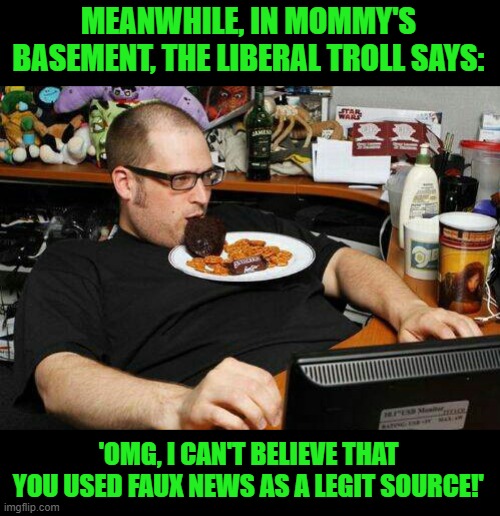 Liberal comment troll | MEANWHILE, IN MOMMY'S BASEMENT, THE LIBERAL TROLL SAYS: 'OMG, I CAN'T BELIEVE THAT YOU USED FAUX NEWS AS A LEGIT SOURCE!' | image tagged in liberal comment troll | made w/ Imgflip meme maker