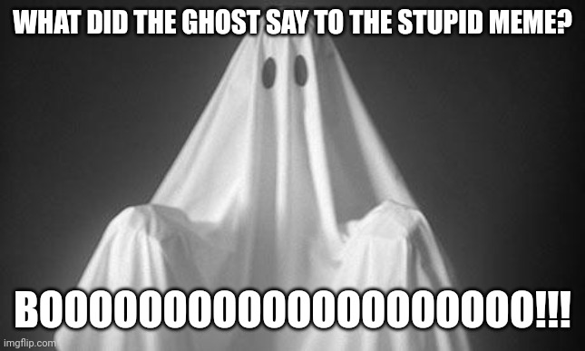 Ghost | WHAT DID THE GHOST SAY TO THE STUPID MEME? BOOOOOOOOOOOOOOOOOOOO!!! | image tagged in ghost | made w/ Imgflip meme maker
