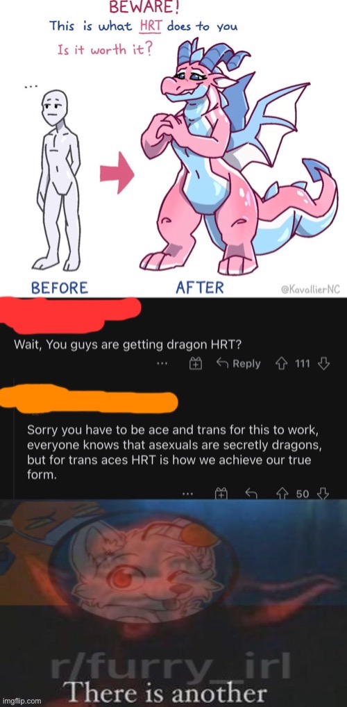 I just realized I forgot to post this here (I found this in a cross post, I had no idea what hrt meant lol) | made w/ Imgflip meme maker