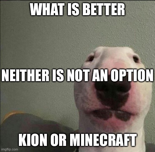 Staring Forward Dog | WHAT IS BETTER KION OR MINECRAFT NEITHER IS NOT AN OPTION | image tagged in staring forward dog | made w/ Imgflip meme maker