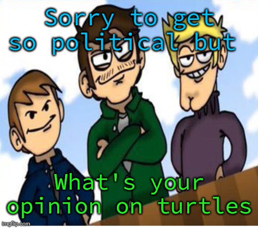neigh-bores | Sorry to get so political but; What's your opinion on turtles | image tagged in neigh-bores | made w/ Imgflip meme maker