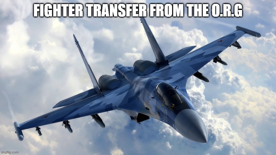 Fighter Jet | FIGHTER TRANSFER FROM THE O.R.G | image tagged in fighter jet | made w/ Imgflip meme maker