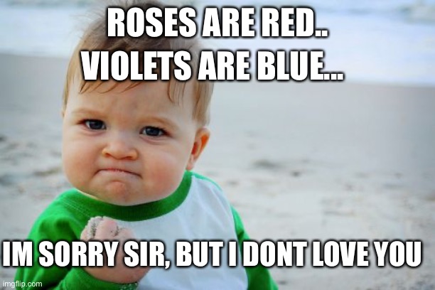 best break up poem | ROSES ARE RED.. VIOLETS ARE BLUE... IM SORRY SIR, BUT I DONT LOVE YOU | image tagged in memes,success kid original,break up,big brain | made w/ Imgflip meme maker