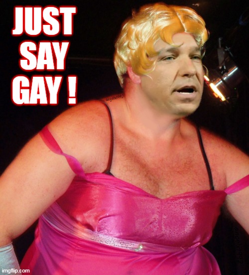 MoRon desantis | JUST SAY GAY ! | image tagged in ron desantis,florida,clown car republicans,lgbtq,just say gay,gay | made w/ Imgflip meme maker