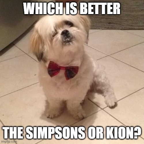 Bow Tie Doggo | WHICH IS BETTER THE SIMPSONS OR KION? | image tagged in bow tie doggo | made w/ Imgflip meme maker