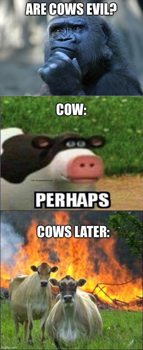 The next Disney villain should be a cow | ARE COWS EVIL? COW:; COWS LATER: | image tagged in cows,go,moo | made w/ Imgflip meme maker