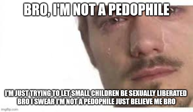 Bro Please Bro | BRO, I'M NOT A PEDOPHILE; I'M JUST TRYING TO LET SMALL CHILDREN BE SEXUALLY LIBERATED 

BRO I SWEAR I'M NOT A PEDOPHILE JUST BELIEVE ME BRO | image tagged in bro please bro | made w/ Imgflip meme maker