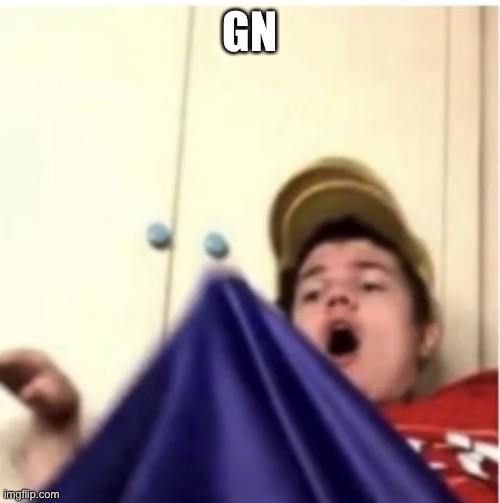 Recreating this template tmro | GN | image tagged in alfaoxtrot mega boner | made w/ Imgflip meme maker