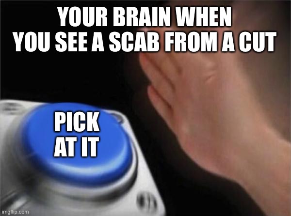 Blank Nut Button Meme | YOUR BRAIN WHEN YOU SEE A SCAB FROM A CUT; PICK AT IT | image tagged in memes,blank nut button | made w/ Imgflip meme maker