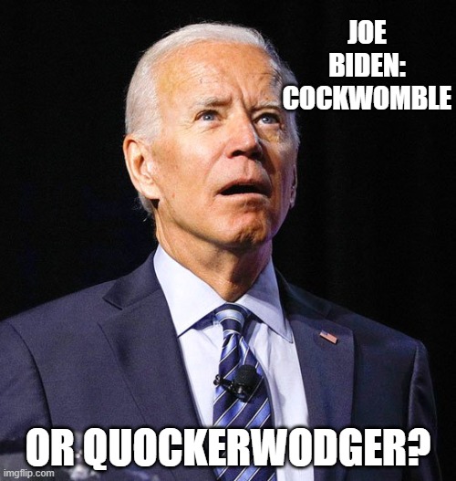 FJB | JOE BIDEN: COCKWOMBLE; OR QUOCKERWODGER? | image tagged in joe biden | made w/ Imgflip meme maker