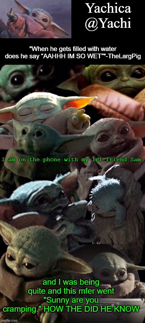 Yachi's baby Yoda temp | I am on the phone with my irl friend Sam; and I was being quite and this mfer went "Sunny are you cramping." HOW THE DID HE KNOW | image tagged in yachi's baby yoda temp | made w/ Imgflip meme maker