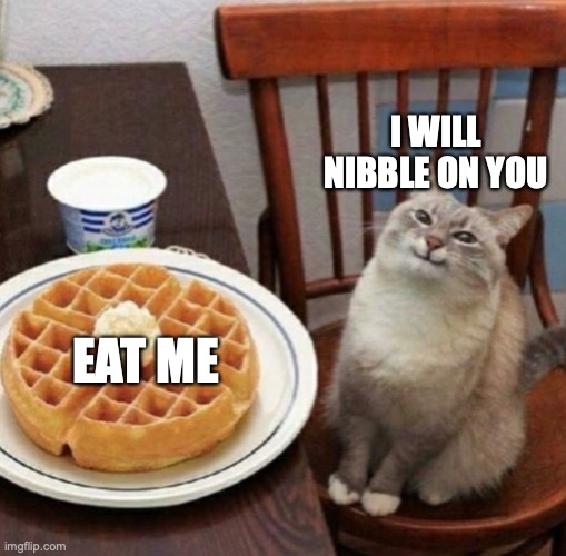 Cat likes their waffle | EAT ME I WILL NIBBLE ON YOU | image tagged in cat likes their waffle | made w/ Imgflip meme maker