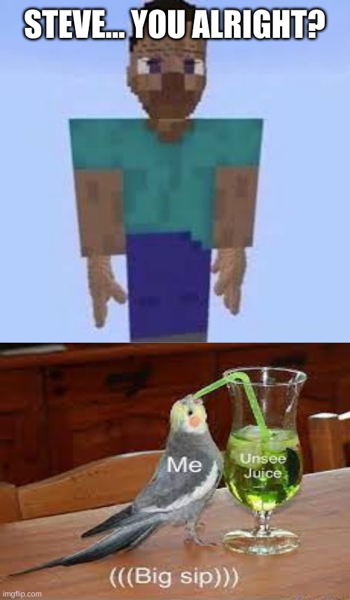 I think something is wrong with Steve | STEVE... YOU ALRIGHT? | image tagged in memes,cursed minecraft | made w/ Imgflip meme maker
