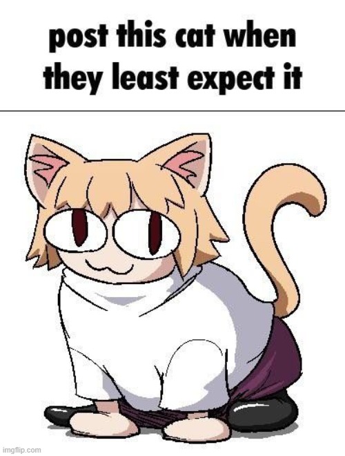 haha funi cat | image tagged in the funny cat,neco arc | made w/ Imgflip meme maker