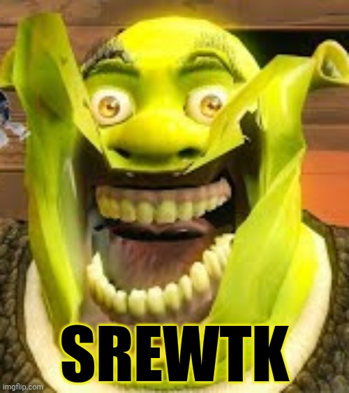 It's time to stop | SREWTK | image tagged in its time to stop,shrek,cursed image,ive got no idea whats going on | made w/ Imgflip meme maker