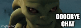 Random gif, go - Imgflip