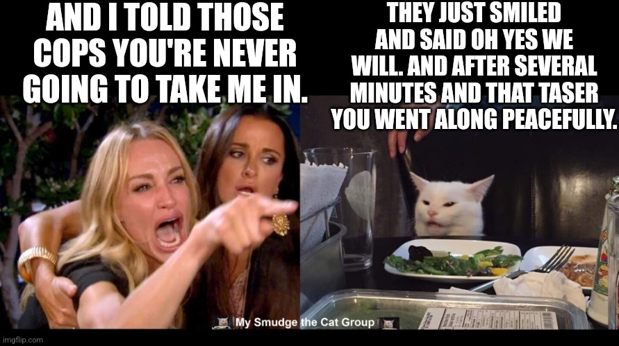  AND I TOLD THOSE COPS YOU'RE NEVER GOING TO TAKE ME IN. THEY JUST SMILED AND SAID OH YES WE WILL. AND AFTER SEVERAL MINUTES AND THAT TASER YOU WENT ALONG PEACEFULLY. | image tagged in smudge the cat,woman yelling at cat | made w/ Imgflip meme maker