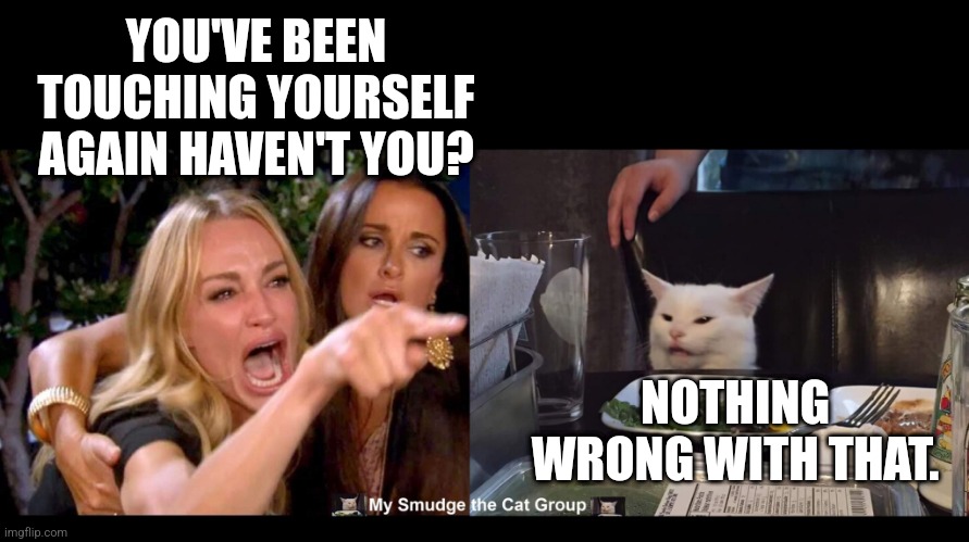 YOU'VE BEEN TOUCHING YOURSELF AGAIN HAVEN'T YOU? NOTHING WRONG WITH THAT. | image tagged in smudge the cat,woman yelling at cat | made w/ Imgflip meme maker