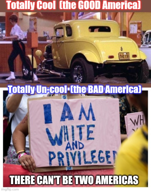 It's Time to Take Back America | Totally Cool  (the GOOD America); Totally Un-cool  (the BAD America); THERE CAN'T BE TWO AMERICAS | image tagged in liberal vs conservative,republicans,rule,crying democrats,suck,moose | made w/ Imgflip meme maker