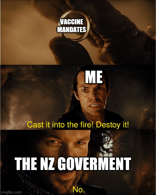 Cast it into the fire | VACCINE MANDATES; ME; THE NZ GOVERMENT | image tagged in cast it into the fire | made w/ Imgflip meme maker