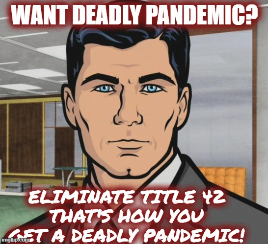 Can anyone say Ebola? |  WANT DEADLY PANDEMIC? ELIMINATE TITLE 42
THAT'S HOW YOU GET A DEADLY PANDEMIC! | image tagged in memes,archer | made w/ Imgflip meme maker