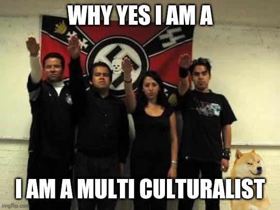 This one is better | WHY YES I AM A; I AM A MULTI CULTURALIST | image tagged in aoc,my little pony friendship is magic,happy mexican,white privilege,diversity | made w/ Imgflip meme maker