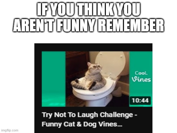 Vines were never funny | IF YOU THINK YOU AREN'T FUNNY REMEMBER | image tagged in vines | made w/ Imgflip meme maker