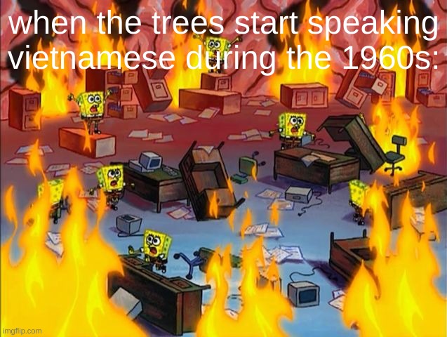 lol | when the trees start speaking vietnamese during the 1960s: | image tagged in spongebob fire | made w/ Imgflip meme maker