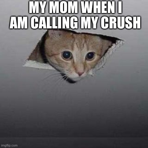 Frick |  MY MOM WHEN I AM CALLING MY CRUSH | image tagged in memes,ceiling cat | made w/ Imgflip meme maker