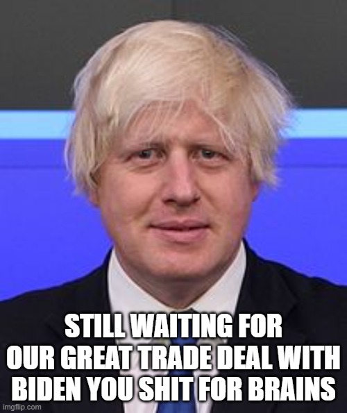 boris johnson | STILL WAITING FOR OUR GREAT TRADE DEAL WITH BIDEN YOU SHIT FOR BRAINS | image tagged in boris johnson | made w/ Imgflip meme maker