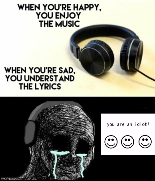 YOU ARE AN IDIOT HAHAHAHAHAHAHAHAHAHAHAHA! | image tagged in when your sad you understand the lyrics | made w/ Imgflip meme maker