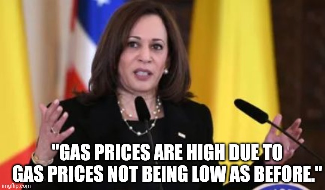 Kamala Harris: "Gas Prices Are High Due To Gas Prices Not Being Low As Before." | "GAS PRICES ARE HIGH DUE TO GAS PRICES NOT BEING LOW AS BEFORE." | image tagged in kamala harris,gas prices | made w/ Imgflip meme maker