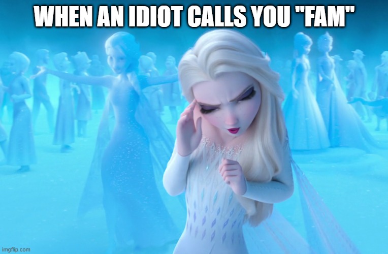 When an idiot calls you "fam" |  WHEN AN IDIOT CALLS YOU "FAM" | image tagged in elsa cringe | made w/ Imgflip meme maker