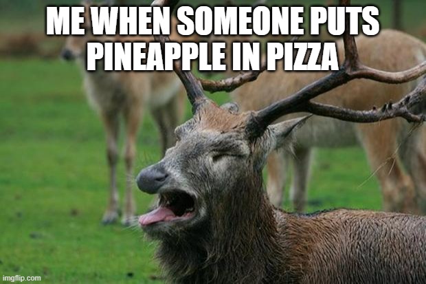 hawaii pizza bad | ME WHEN SOMEONE PUTS
PINEAPPLE IN PIZZA | image tagged in disgusted deer,memes,funny | made w/ Imgflip meme maker
