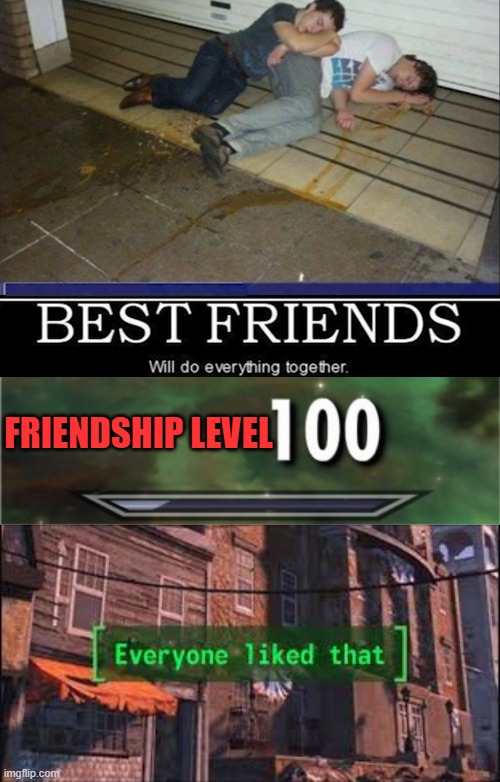 FRIENDSHIP LEVEL | image tagged in level 100,everyone liked that | made w/ Imgflip meme maker