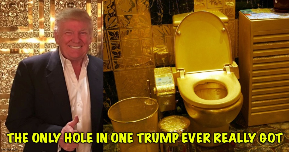 Trump's Gold Toilet, the perfect gift for the man who's full of | THE ONLY HOLE IN ONE TRUMP EVER REALLY GOT | image tagged in trump's gold toilet the perfect gift for the man who's full of | made w/ Imgflip meme maker