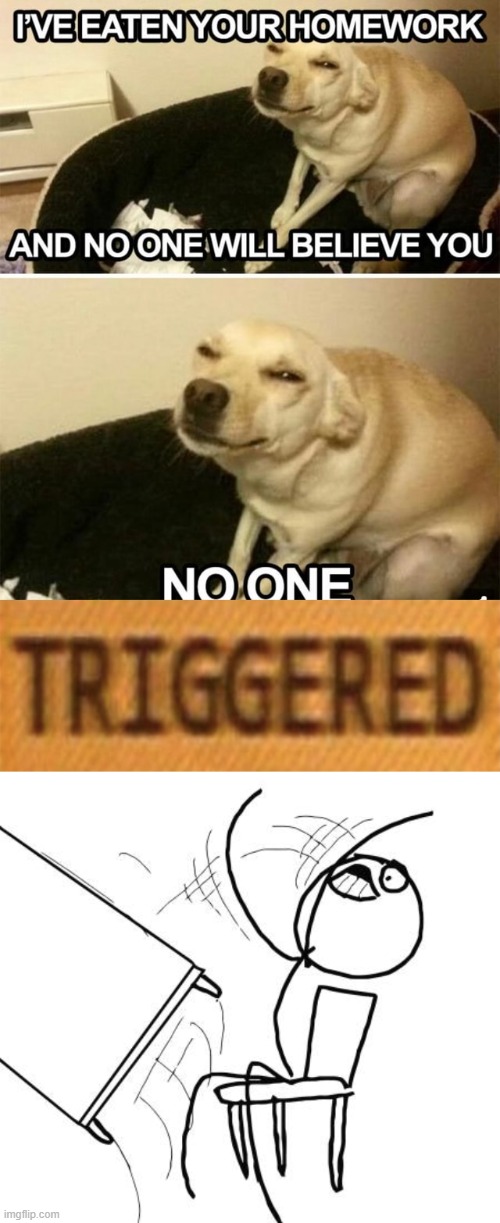 image tagged in trigerd,memes,table flip guy | made w/ Imgflip meme maker