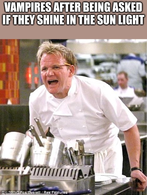 Chef Gordon Ramsay |  VAMPIRES AFTER BEING ASKED IF THEY SHINE IN THE SUN LIGHT | image tagged in memes,chef gordon ramsay | made w/ Imgflip meme maker