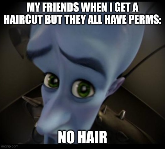 funny | MY FRIENDS WHEN I GET A HAIRCUT BUT THEY ALL HAVE PERMS:; NO HAIR | image tagged in no bitches | made w/ Imgflip meme maker