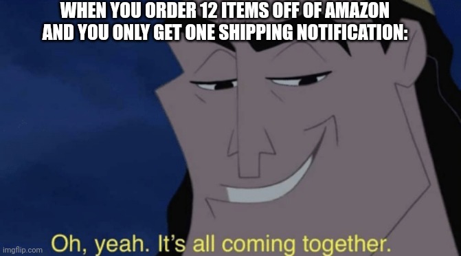 Took youa moment to figure out out huh? | WHEN YOU ORDER 12 ITEMS OFF OF AMAZON AND YOU ONLY GET ONE SHIPPING NOTIFICATION: | image tagged in it's all coming together,i pulled a sneaky | made w/ Imgflip meme maker