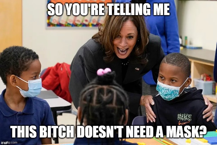 Masks for Thee | SO YOU'RE TELLING ME; THIS BITCH DOESN'T NEED A MASK? | image tagged in masks for thee | made w/ Imgflip meme maker