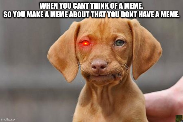 Dissapointed puppy | WHEN YOU CANT THINK OF A MEME.
SO YOU MAKE A MEME ABOUT THAT YOU DONT HAVE A MEME. | image tagged in dissapointed puppy | made w/ Imgflip meme maker