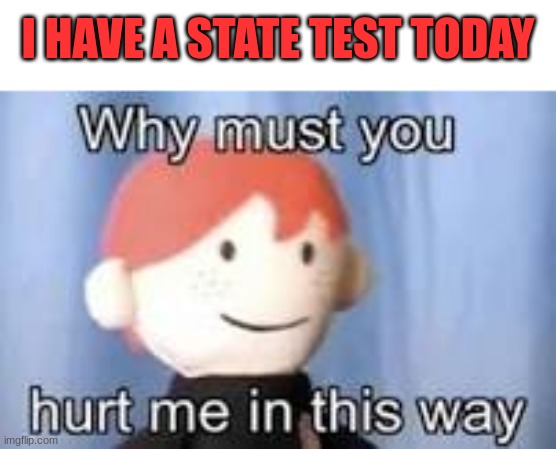 please send help immediately | I HAVE A STATE TEST TODAY | image tagged in why must you hurt me in this way | made w/ Imgflip meme maker