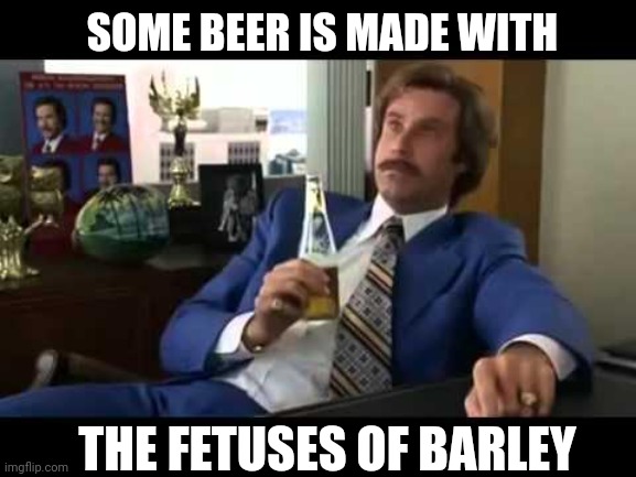 It's True |  SOME BEER IS MADE WITH; THE FETUSES OF BARLEY | image tagged in memes,well that escalated quickly,beer,hold my beer,cold beer here,sad but true | made w/ Imgflip meme maker