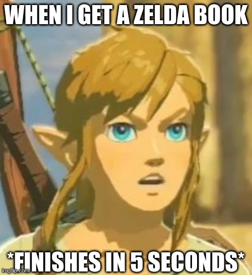 Offended Link |  WHEN I GET A ZELDA BOOK; *FINISHES IN 5 SECONDS* | image tagged in offended link | made w/ Imgflip meme maker