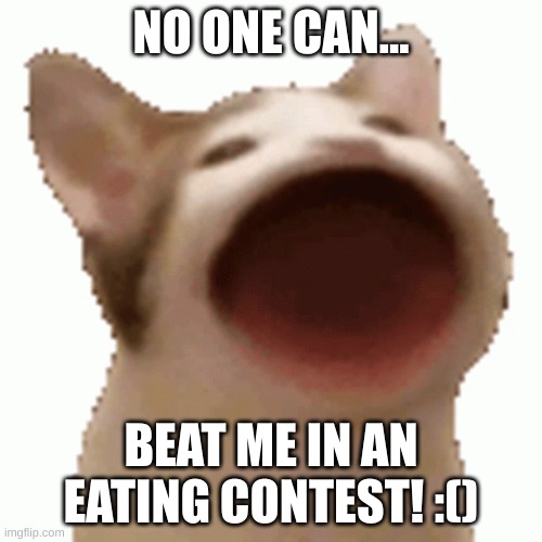 Popcat  = ($_$) MONEY... | NO ONE CAN... BEAT ME IN AN EATING CONTEST! :() | image tagged in popcat | made w/ Imgflip meme maker