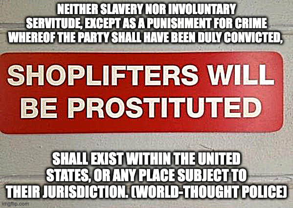 world-thought police says, | NEITHER SLAVERY NOR INVOLUNTARY SERVITUDE, EXCEPT AS A PUNISHMENT FOR CRIME WHEREOF THE PARTY SHALL HAVE BEEN DULY CONVICTED, SHALL EXIST WITHIN THE UNITED STATES, OR ANY PLACE SUBJECT TO THEIR JURISDICTION. (WORLD-THOUGHT POLICE) | image tagged in spread ya asshole | made w/ Imgflip meme maker