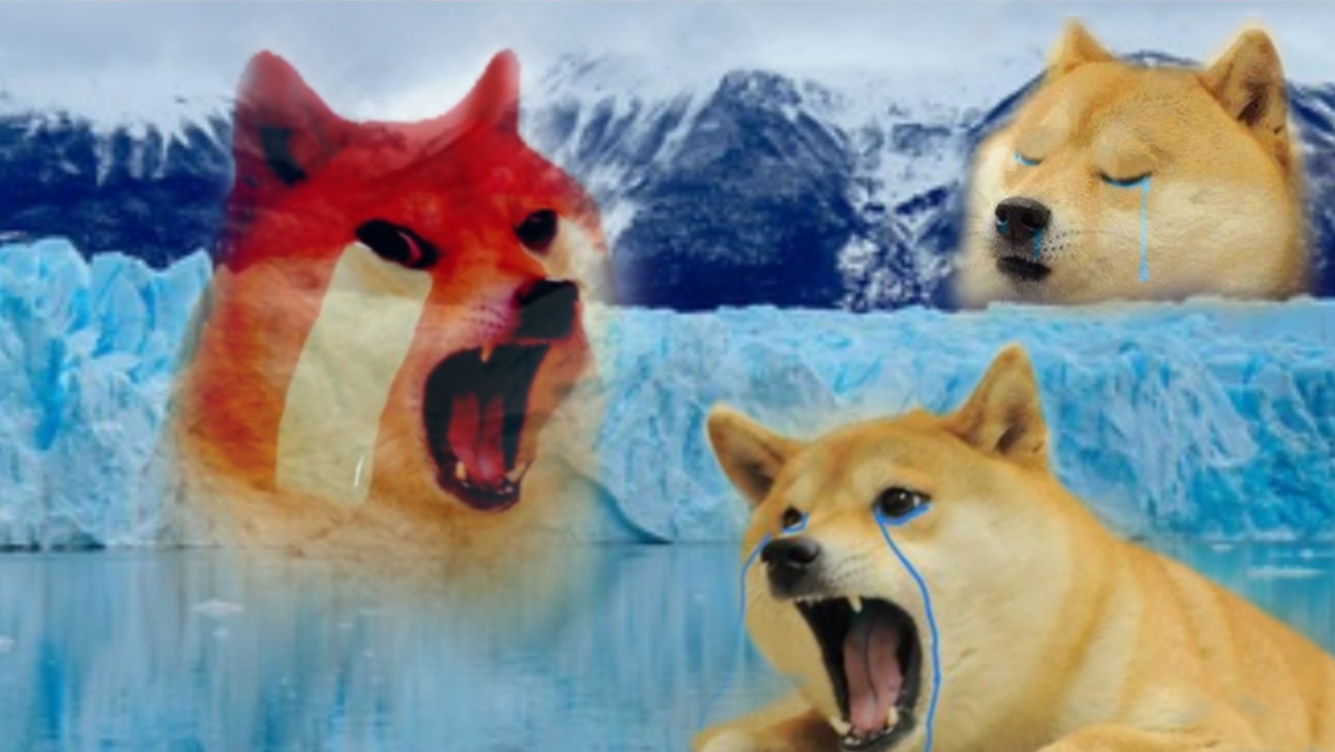High Quality Crying doge compilation Blank Meme Template