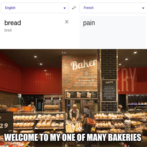 The BloxyMemer Bakery |  WELCOME TO MY ONE OF MANY BAKERIES | image tagged in bakery | made w/ Imgflip meme maker